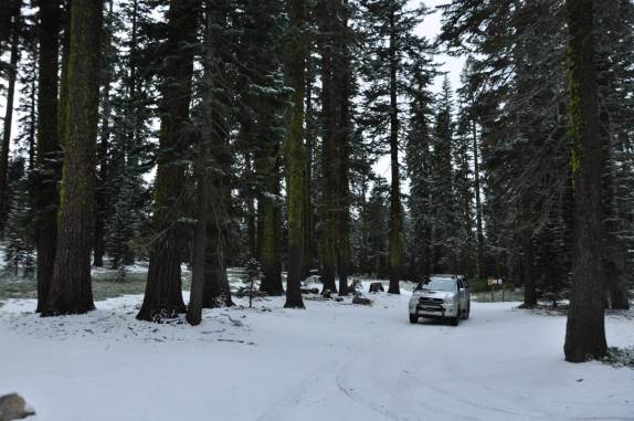 A Fiona está cada vez mais craque para rodar na neve! (na região do Mount Shasta, na Califórnia, nos Estados Unidos)